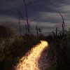 Light Trails #4 by Light Painting Artist Jason D. Page