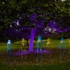 18_treeoflife