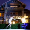 4_walkthedog