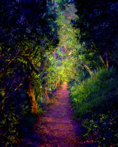 Light Painting by Dean Chamberlain Jewel Path
