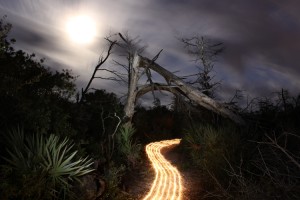 Light Painting by Jason D. Page