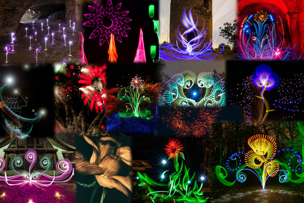 Flower Light Painting Contest Entries